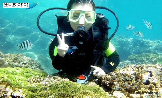 Viajes China en invierno con Bah&iacute;a Yalong de Sanya