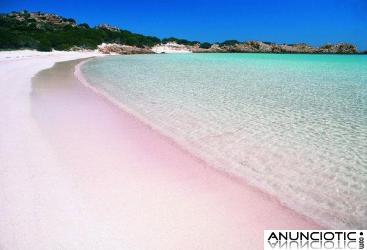 Apartamentos en alquiler para vacaciones en la isla de Cerde&ntilde;a; directos de particular