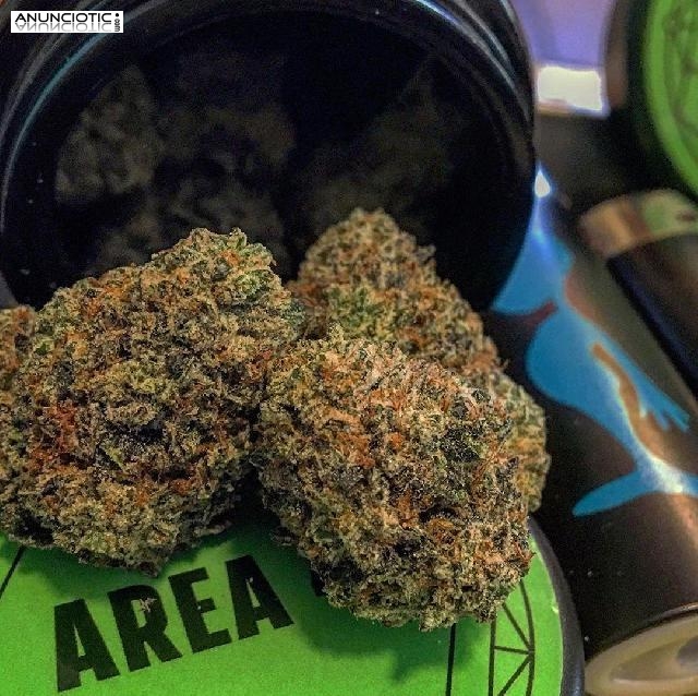 Comprar Lemon Lime OG (Sativa) en l&iacute;nea.