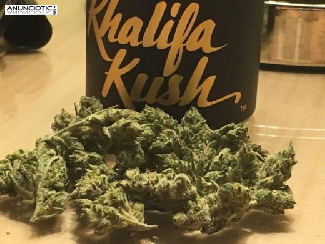 Comprar Lemon Lime OG (Sativa) en l&iacute;nea.