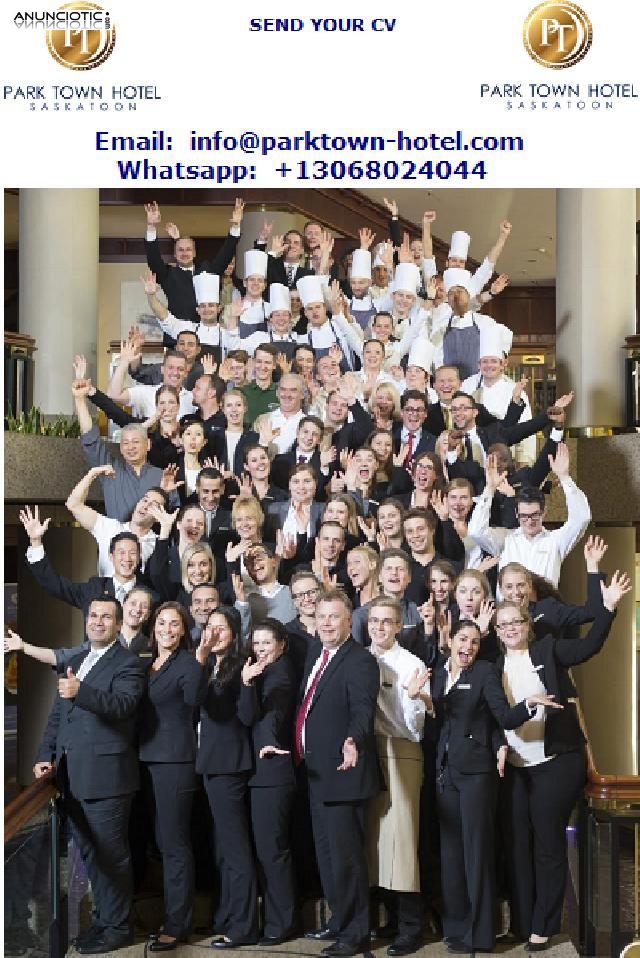 Contrataci&oacute;n de nuevos empleados profesionales con personalidad.