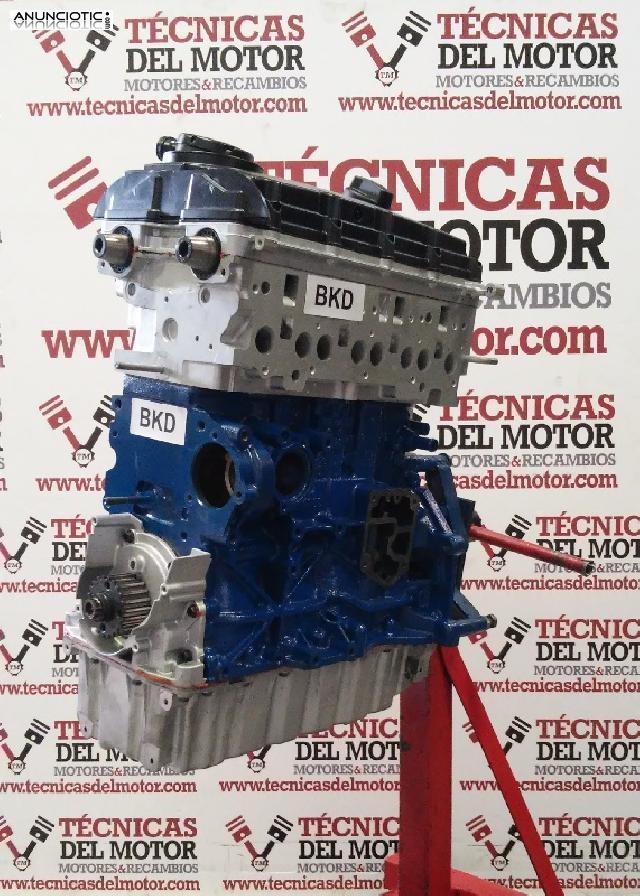 Motor vag 2.0 tdi tipo bkd