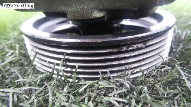 219361 bomba citro&euml;n zx (n2) 1.9 td