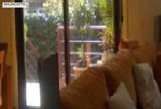 Venta de chalet de esquina en urbanizaci&oacute;n pri 