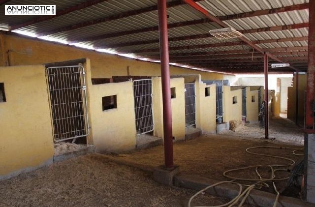 Finca r&uacute;stica madrid