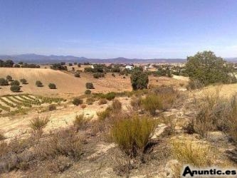 Finca 18.000m2 a 40Km de MADRID con PERMISO PARA CONSTRUIR por 31.000� (Tlf 608766239)
