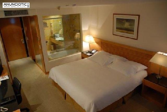 Comodidad y lujo pr&oacute;ximo a castellana