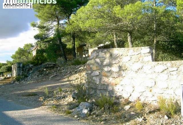 PARCELAS EN ALBALATE DE ZORITA URBANIZACI&Oacute;N NUEVA SIERRA  GUADALAJARA  A  1
