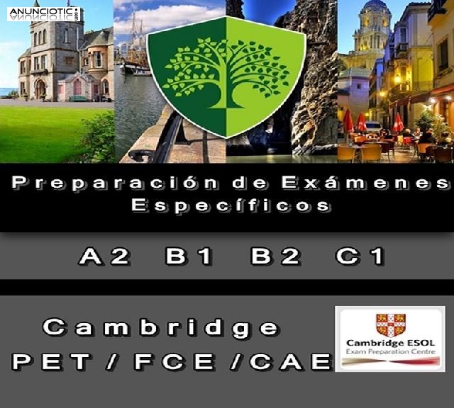 Clases de inglés Liffey college Málaga