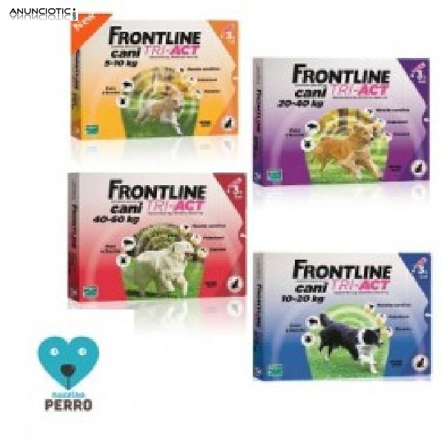 La soluci&oacute;n elevada a la m&aacute;xima potencia