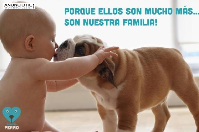 Nuestroperro, m&aacute;s que una tienda de mascotas 