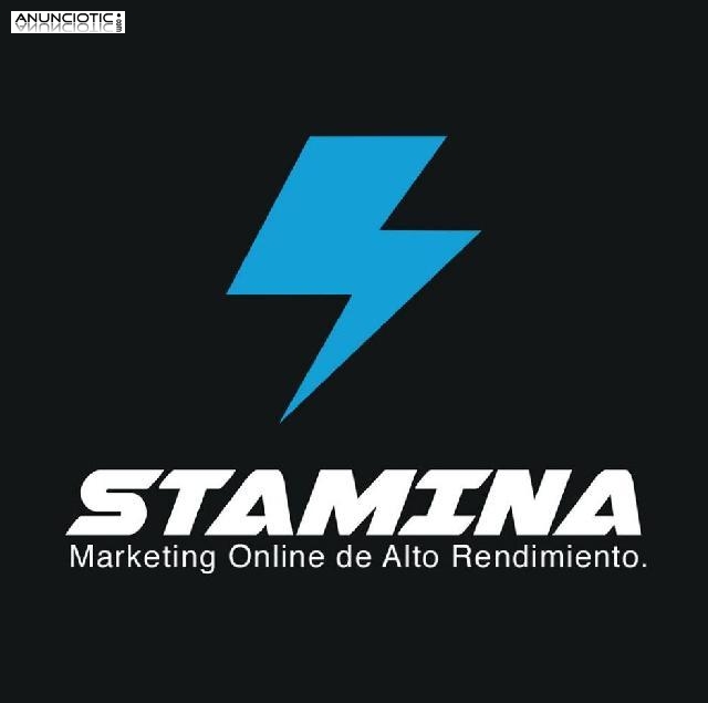 dise&ntilde;o web profesional