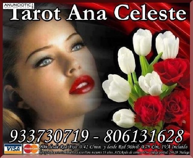 Tarot Ana Celeste Visa Económica  7/15m   +++++++++++++++++