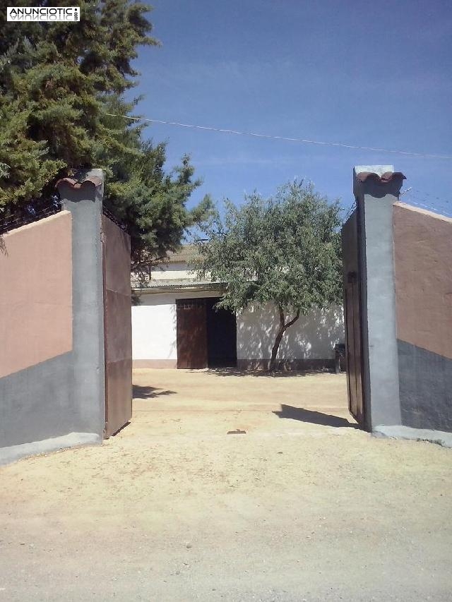 Finca y casa a 100m de campillos en m&aacute;laga 1300m2