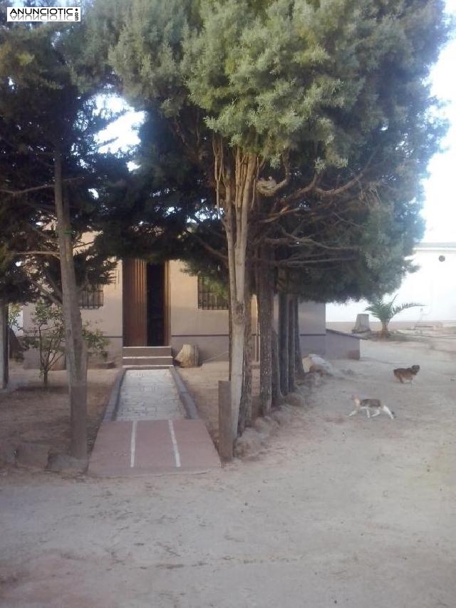 Finca y vivienda con antig&uuml;edad de 19 a&ntilde;os 