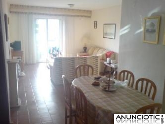 PISO MUY AMPLIO Y LUMINOSO EN URBANIZACI&Oacute;N MUY BIEN SITUADA