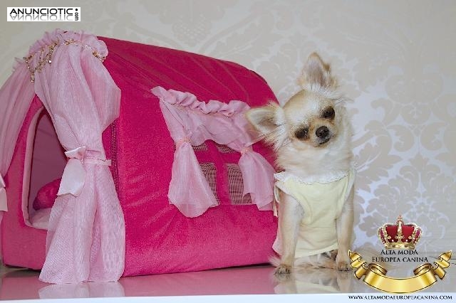 Dormitorio Canino, camas Perros peque&ntilde;os