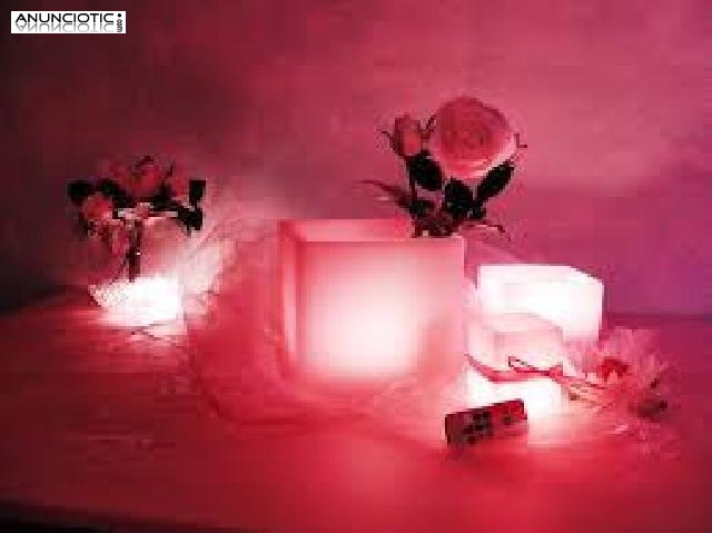 &iquest;caminas solo/a por esta vida