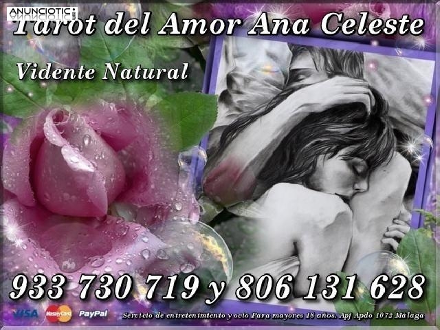 --Consultas Detalladas del Amor Ana Celeste Visa Econ&oacute;mica-----