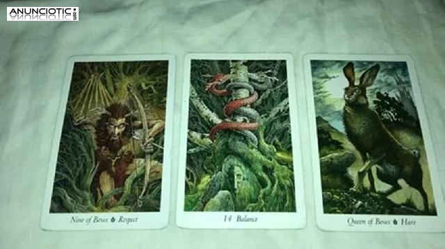 Hor&oacute;scopo Semanal Capricornio Orden Y Metas, Tarot Amor Completo