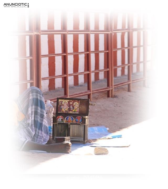 &iquest;Cu&aacute;l es el significado si sue&ntilde;as con Elefante Bebe, Tarot economico