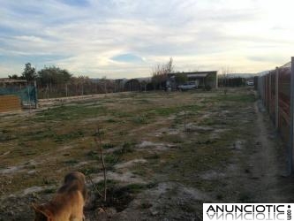 Terreno en Molina de Segura (Murcia) de 1.720 m&sup2;