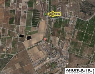 Terreno en Santomera (Murcia) de 2.500 m&sup2;