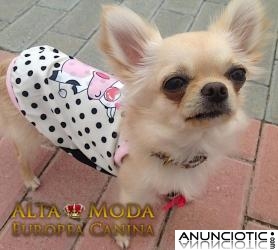Ropa para Perros Chihuahua. Moda Canina Chihuahuas