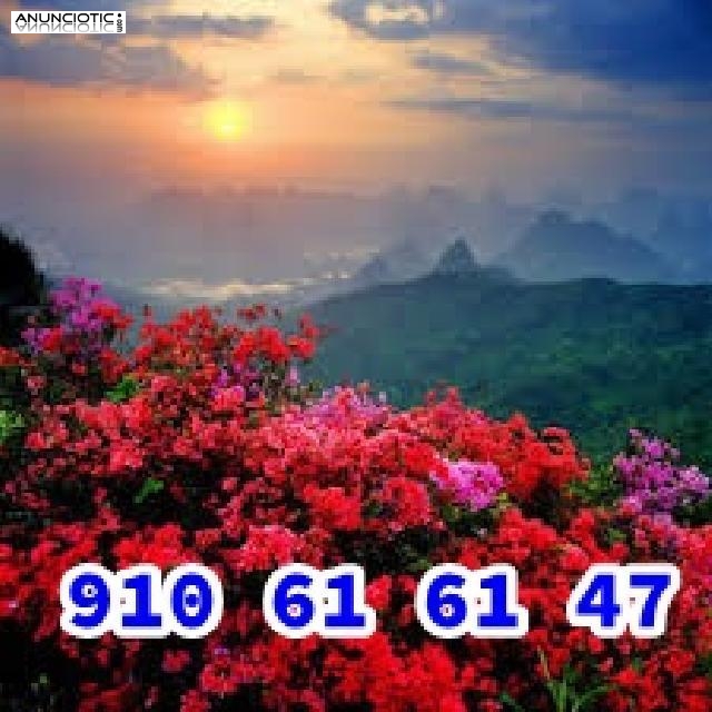 .,TAROT BARATO 910616147 15MIN-4.5�