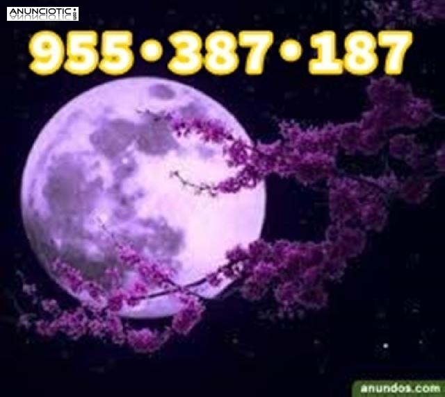  Sin enga&ntilde;os,lecturas reales 4.5� 15 min