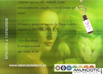 No es casualidad que est&eacute;s leyendo este anuncio 10� tirada online