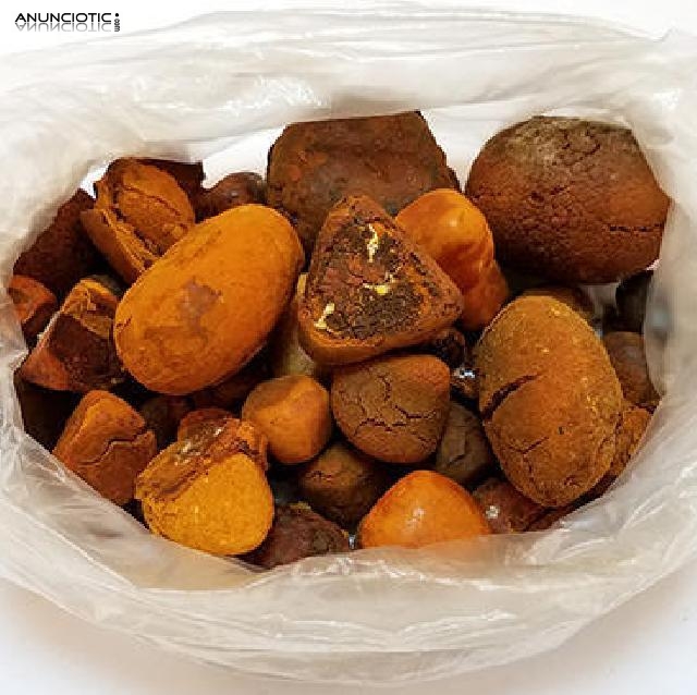 Venta de ganado de c&aacute;lculos biliares de buey / vaca. 