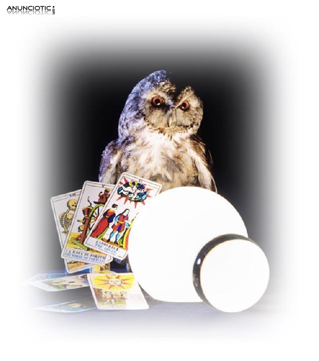 Hor&oacute;scopo Diario Aries En El Amor, Tarot tirada gratis