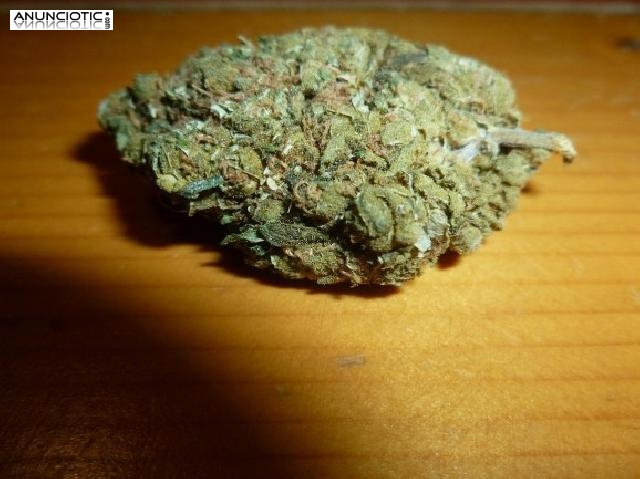 Tenemos lo mejor, solo tiene que presionar nuestro correo electr&oacute;nico y dro