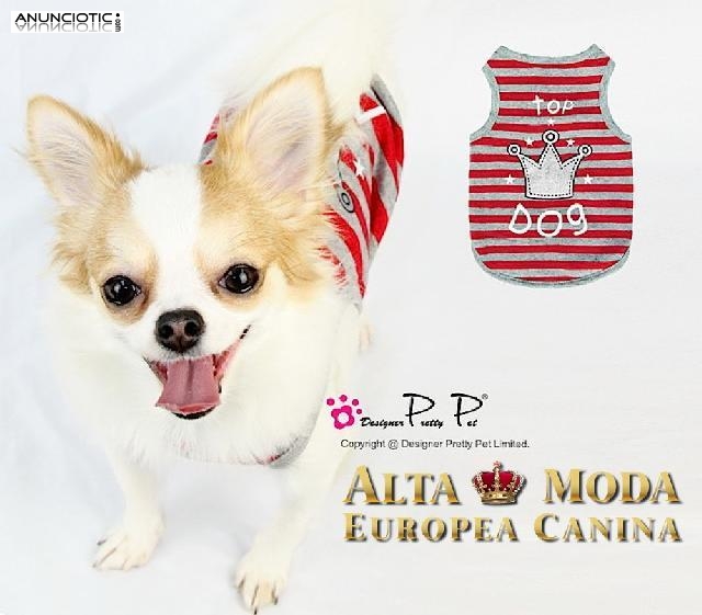 Ropita para Perros Peque&ntilde;os