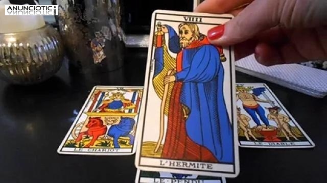 So&ntilde;ar Con Animales, Tarot Amor Futuro Inmediato