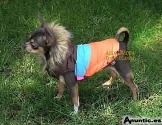 Ropa para Perros-Alta Moda Europea Canina tienda