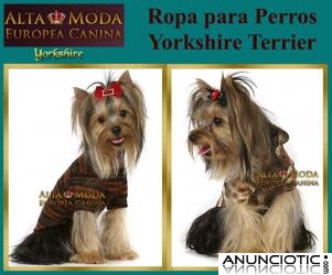 Ropa para Yorkshire, moda canina yorkis
