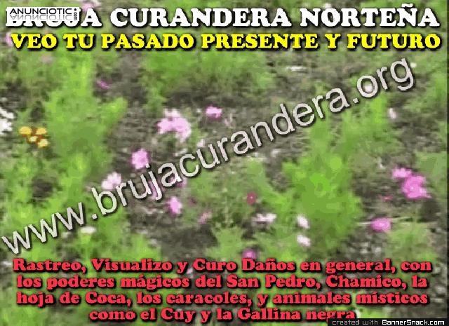 &uacute;nica bruja experta en amarres de amor y uni&oacute;n de parejas