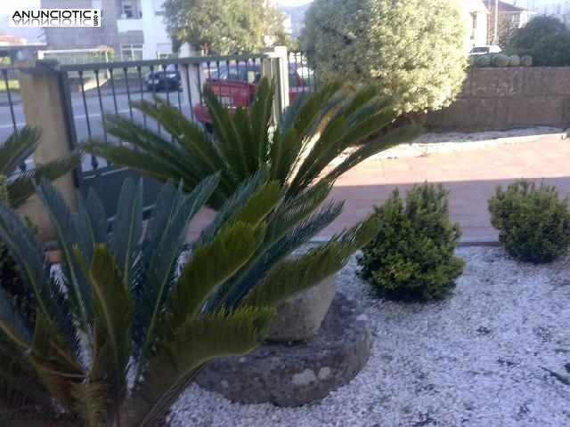 Oportunidad c&eacute;ntrico