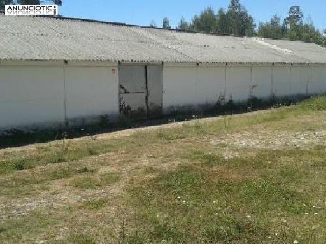 Oportunidad almac&eacute;n