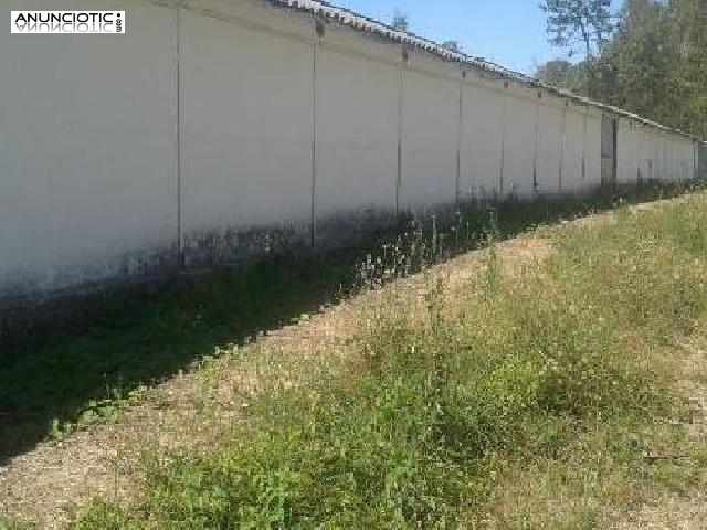 Oportunidad almac&eacute;n