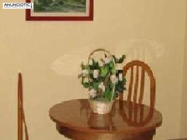 Zona los volcanes pr&oacute;ximo samil