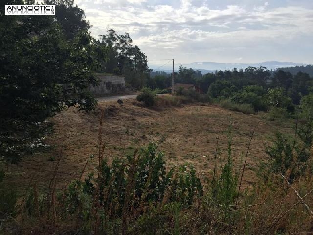 Terrenos edificables y r&uacute;sticos