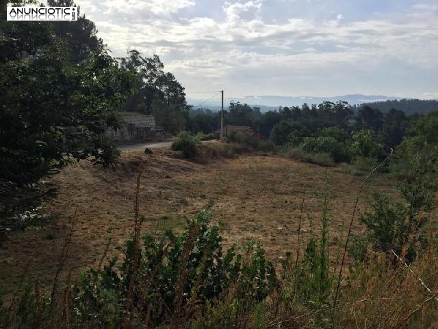 Terrenos edificables y r&uacute;sticos