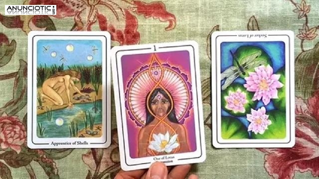 So&ntilde;ar Con Flores Moradas, Tarot Escorpio Amor Hoy
