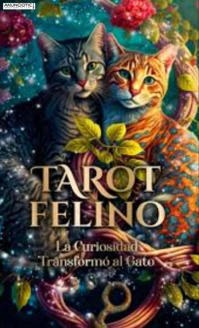 Vidente y Tarotista muy Seria y Profesional Espa&ntilde;ola 