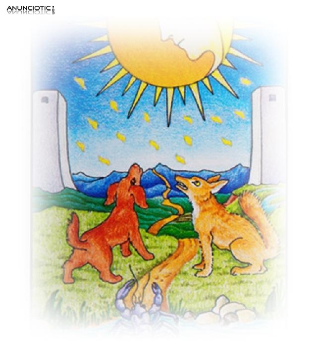 Primera Llamada De Tarot Econ&oacute;mico, Tarot Online Amor Porque Ele Sumiu