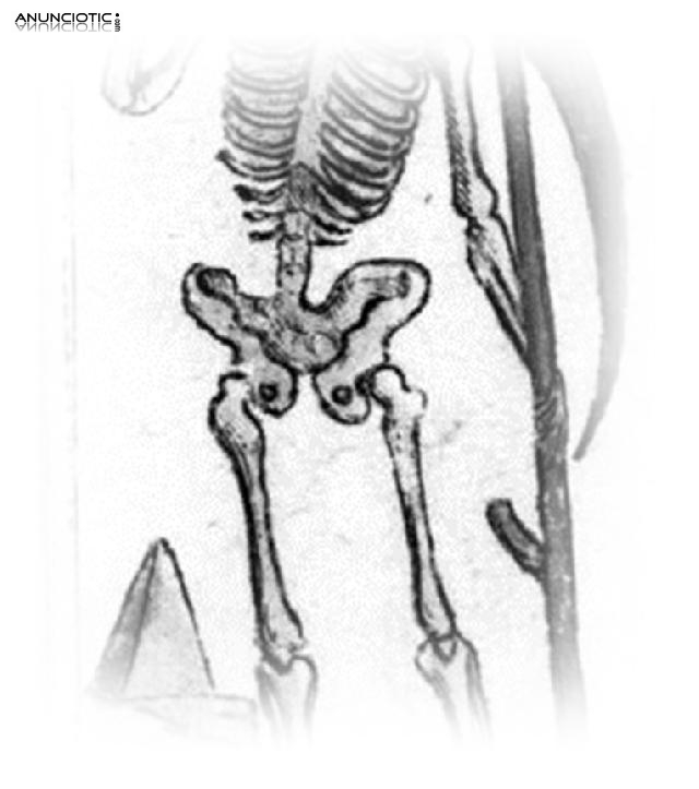 Tarot Econ&oacute;mico Si O No On Line, Cartas De Tarot Amor